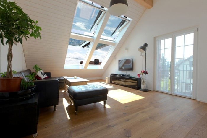 Salon maison avec 4 fenêtres de toit Roto