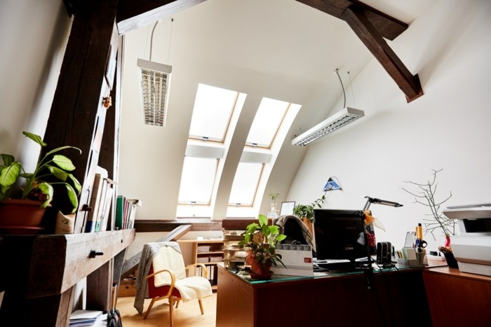 Salon aménagé avec des fenêtres de toit Roto