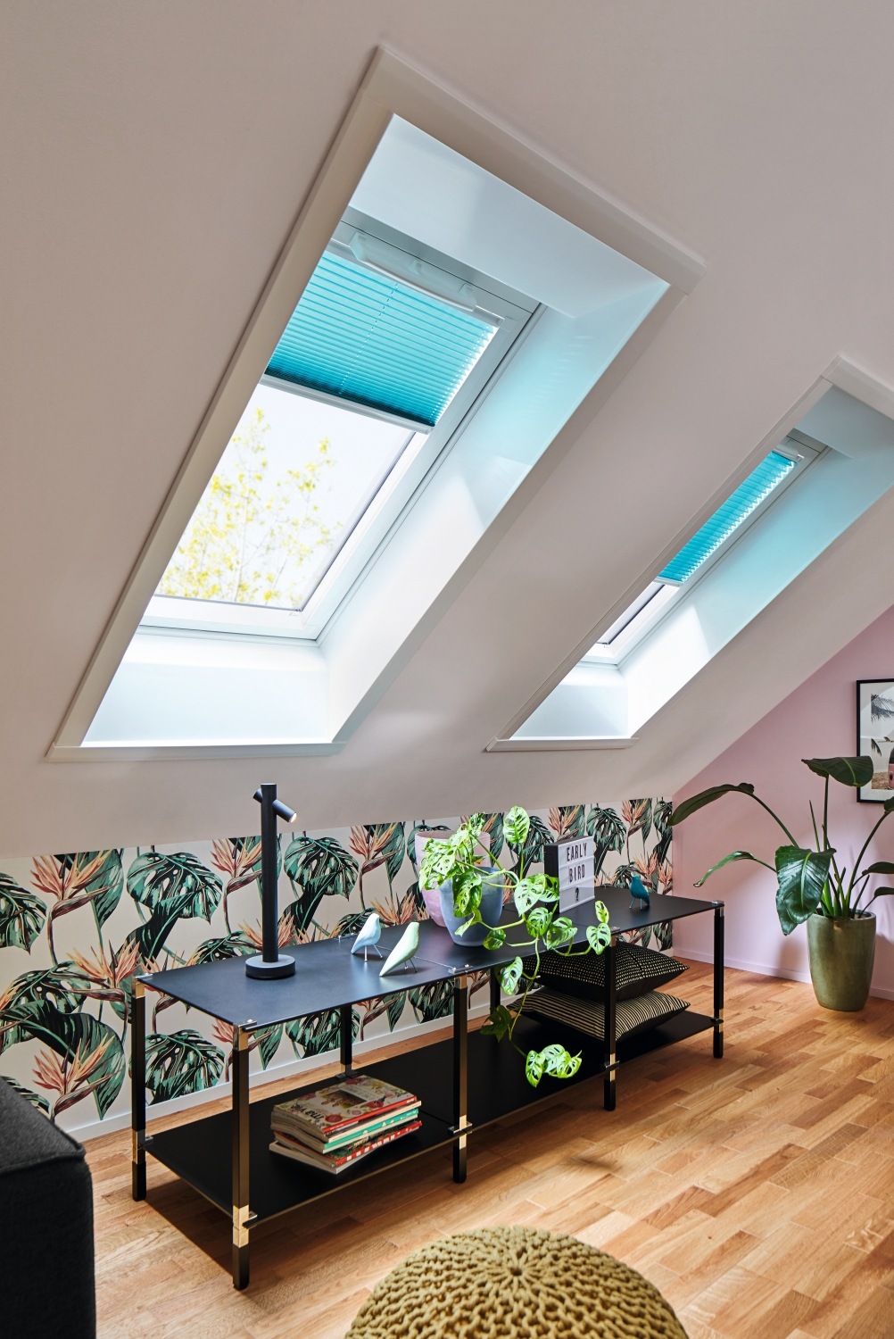 plantes interieurs sous fenetre toit